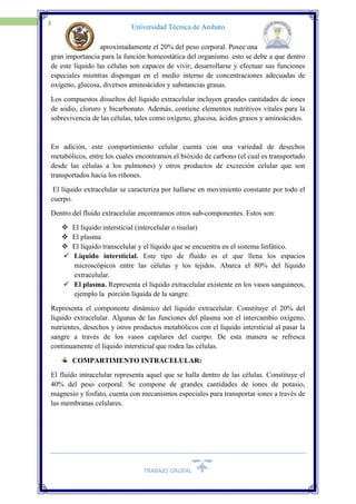 TRABAJO GRUPAL
5
Universidad Técnica de Ambato
aproximadamente el 20% del peso corporal. Posee una
gran importancia para la función homeostática del organismo. esto se debe a que dentro
de este líquido las células son capaces de vivir, desarrollarse y efectuar sus funciones
especiales mientras dispongan en el medio interno de concentraciones adecuadas de
oxígeno, glucosa, diversos aminoácidos y substancias grasas.
Los compuestos disueltos del líquido extracelular incluyen grandes cantidades de iones
de sodio, cloruro y bicarbonato. Además, contiene elementos nutritivos vitales para la
sobrevivencia de las células, tales como oxígeno, glucosa, ácidos grasos y aminoácidos.
En adición, este compartimiento celular cuenta con una variedad de desechos
metabólicos, entre los cuales encontramos el bióxido de carbono (el cual es transportado
desde las células a los pulmones) y otros productos de excreción celular que son
transportados hacia los riñones.
El líquido extracelular se caracteriza por hallarse en movimiento constante por todo el
cuerpo.
Dentro del fluído extracelular encontramos otros sub-componentes. Estos son:
 El líquido intersticial (intercelular o tisular)
 El plasma
 El líquido transcelular y el líquido que se encuentra en el sistema linfático.
 Líquido intersticial. Este tipo de fluído es el que llena los espacios
microscópicos entre las células y los tejidos. Abarca el 80% del líquido
extracelular.
 El plasma. Representa el líquido extracelular existente en los vasos sanguíneos,
ejemplo la porción líquida de la sangre.
Representa el componente dinámico del líquido extracelular. Constituye el 20% del
líquido extracelular. Algunas de las funciones del plasma son el intercambio oxígeno,
nutrientes, desechos y otros productos metabólicos con el líquido intersticial al pasar la
sangre a través de los vasos capilares del cuerpo. De esta manera se refresca
continuamente el líquido intersticial que rodea las células.
COMPARTIMENTO INTRACELULAR:
El fluído intracelular representa aquel que se halla dentro de las células. Constituye el
40% del peso corporal. Se compone de grandes cantidades de iones de potasio,
magnesio y fosfato, cuenta con mecanismos especiales para transportar iones a través de
las membranas celulares.
 
