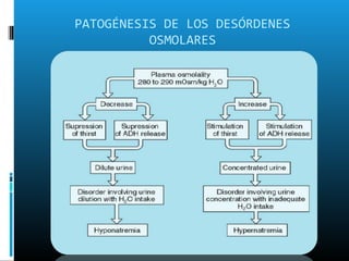 PATOGÉNESIS DE LOS DESÓRDENES
          OSMOLARES
 