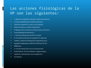 Las acciones fisiológicas de la
VP son las siguientes:
   A- Regula el metabolismo del agua mediante el aumento
   en la permeabilidad de los túbulos colectores a
   través de receptores V2, esto a su vez regula la
   retención hídrica y su efecto antidiurético.
   B- Regula el tono vasomotor y de esta manera interviene
   en la estabilidad hemodinámica.
   c -Favorece la liberación de ACTH y cortisol.
   D- A través de activación de receptores V2 (agonista
   sintético 1-desamino-8-Darginina vasopresina) causa
   agregación plaquetaria y liberación del factor de Von-
   Willebrand.
   e -A nivel cerebral actúa como neurotransmisor
   involucrado en: ritmos circadianos, ingesta de agua,
   regulación cardiovascular, termorregulación y
   nocicepción.
 