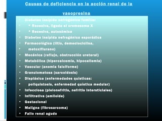 Causas de deficiencia en la acción renal de la

                          vasopresina
•   Diabetes insípida nefrogénica familiar
     * Recesiva, ligada al cromosoma X
     * Recesiva, autosómica
•   Diabetes insípida nefrogénica esporádica
•   Farmacológica (litio, demeclociclina,
     metoxiflurano)
•   Mecánica (reflujo, obstrucción ureteral)
•   Metabólica (hipercalcemia, hipocaliemia)
•   Vascular (anemia falciforme)
•   Granulomatosa (sarcoidosis)
•   Displásica (enfermedades quísticas:
     poliquistosis, enfermedad quística medular)
•   Infecciosa (pielonefritis, nefritis intersticiales)
•   Infiltrativa (amiloide)
•   Gestacional
•   Maligna (fibrosarcoma)
•   Fallo renal agudo
 