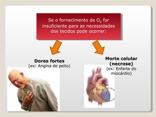 Se o fornecimento de O 2  for insuficiente para as necessidades dos tecidos pode ocorrer: Morte celular (necrose) (ex: Enfarte do miocárdio) Dores fortes (ex: Angina de peito) 