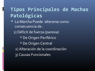 Tipos Principales de Machas
Patológicas
 La Marcha Puede alterarse como
consecuencia de :
1) Déficit de fuerza (paresia)
...