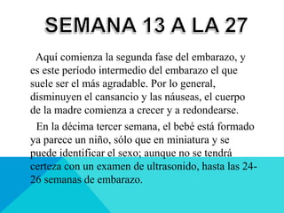 Aquí comienza la segunda fase del embarazo, y
es este período intermedio del embarazo el que
suele ser el más agradable. Por lo general,
disminuyen el cansancio y las náuseas, el cuerpo
de la madre comienza a crecer y a redondearse.
En la décima tercer semana, el bebé está formado
ya parece un niño, sólo que en miniatura y se
puede identificar el sexo; aunque no se tendrá
certeza con un examen de ultrasonido, hasta las 24-
26 semanas de embarazo.
 