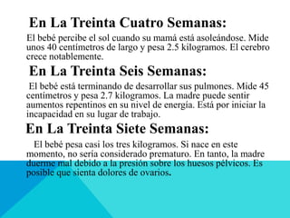 En La Treinta Cuatro Semanas:
El bebé percibe el sol cuando su mamá está asoleándose. Mide
unos 40 centímetros de largo y pesa 2.5 kilogramos. El cerebro
crece notablemente.
En La Treinta Seis Semanas:
El bebé está terminando de desarrollar sus pulmones. Mide 45
centímetros y pesa 2.7 kilogramos. La madre puede sentir
aumentos repentinos en su nivel de energía. Está por iniciar la
incapacidad en su lugar de trabajo.
En La Treinta Siete Semanas:
El bebé pesa casi los tres kilogramos. Si nace en este
momento, no sería considerado prematuro. En tanto, la madre
duerme mal debido a la presión sobre los huesos pélvicos. Es
posible que sienta dolores de ovarios.
 