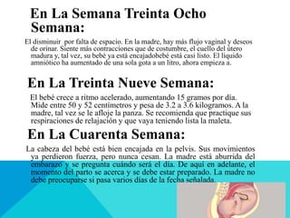 En La Semana Treinta Ocho
Semana:
El disminuir por falta de espacio. En la madre, hay más flujo vaginal y deseos
de orinar. Siente más contracciones que de costumbre, el cuello del útero
madura y, tal vez, su bebé ya está encajadobebé está casi listo. El líquido
amniótico ha aumentado de una sola gota a un litro, ahora empieza a.
En La Treinta Nueve Semana:
El bebé crece a ritmo acelerado, aumentando 15 gramos por día.
Mide entre 50 y 52 centímetros y pesa de 3.2 a 3.6 kilogramos. A la
madre, tal vez se le afloje la panza. Se recomienda que practique sus
respiraciones de relajación y que vaya teniendo lista la maleta.
En La Cuarenta Semana:
La cabeza del bebé está bien encajada en la pelvis. Sus movimientos
ya perdieron fuerza, pero nunca cesan. La madre está aburrida del
embarazo y se pregunta cuándo será el día. De aquí en adelante, el
momento del parto se acerca y se debe estar preparado. La madre no
debe preocuparse si pasa varios días de la fecha señalada.
 