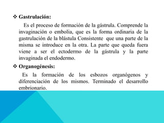  Gastrulación:
Es el proceso de formación de la gástrula. Comprende la
invaginación o embolia, que es la forma ordinaria de la
gastrulación de la blástula Consistente que una parte de la
misma se introduce en la otra. La parte que queda fuera
viene a ser el ectodermo de la gástrula y la parte
invaginada el endodermo.
 Organogénesis:
Es la formación de los esbozos organógenos y
diferenciación de los mismos. Terminado el desarrollo
embrionario.
 