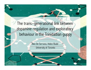 The trans‐generational link between
dopamine regulation and exploratory
behaviour in the Trinidadian guppy
Alex De Serrano, Helen Rodd
University of Toronto
 