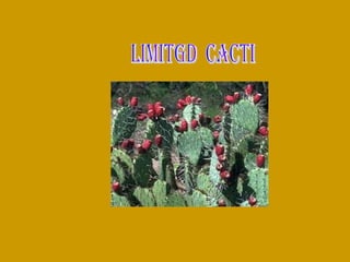 limitgd  cacti 
