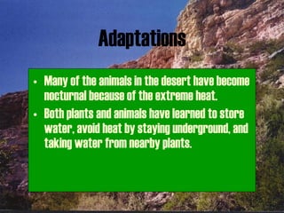 Adaptations Many of the animals in the desert have become nocturnal because of the extreme heat. Both plants and animals have learned to store water, avoid heat by staying underground, and taking water from nearby plants.   
