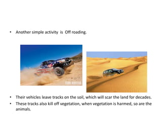 • Another simple activity is Off roading.




• Their vehicles leave tracks on the soil, which will scar the land for decades.
• These tracks also kill off vegetation, when vegetation is harmed, so are the
  animals.
 