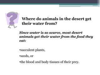 Where do animals in the desert get
 their water from?

Since water is so scarce, most desert
animals get their water from the food they
eat:

•succulent plants,
•seeds, or
•the blood and body tissues of their prey.
 