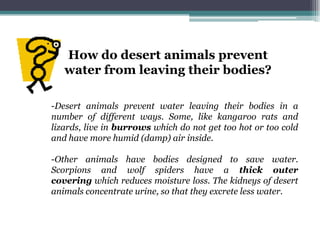 How do desert animals prevent
   water from leaving their bodies?

-Desert animals prevent water leaving their bodies in a
number of different ways. Some, like kangaroo rats and
lizards, live in burrows which do not get too hot or too cold
and have more humid (damp) air inside.

-Other animals have bodies designed to save water.
Scorpions and wolf spiders have a thick outer
covering which reduces moisture loss. The kidneys of desert
animals concentrate urine, so that they excrete less water.
 