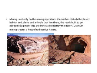 • Mining - not only do the mining operations themselves disturb the desert
  habitat and plants and animals that live there, the roads built to get
  needed equipment into the mines also destroy the desert. Uranium
  mining creates a host of radioactive hazard.
 
