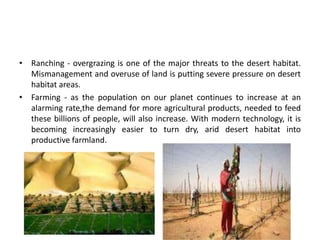 • Ranching - overgrazing is one of the major threats to the desert habitat.
  Mismanagement and overuse of land is putting severe pressure on desert
  habitat areas.
• Farming - as the population on our planet continues to increase at an
  alarming rate,the demand for more agricultural products, needed to feed
  these billions of people, will also increase. With modern technology, it is
  becoming increasingly easier to turn dry, arid desert habitat into
  productive farmland.
 