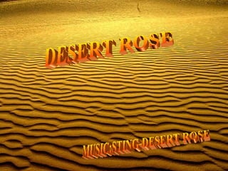 DESERT ROSE MUSIC:STING-DESERT ROSE 