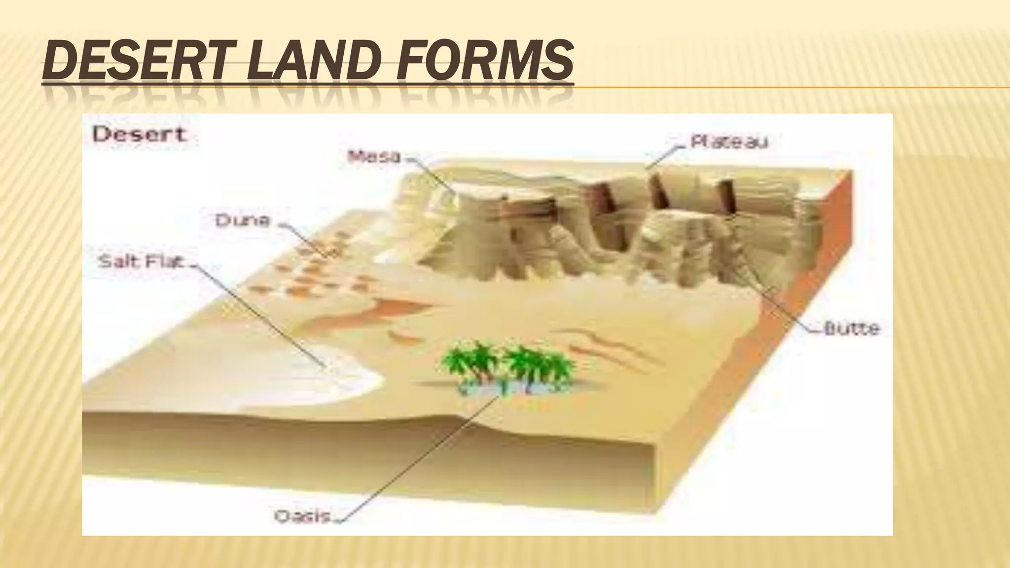 DESERT LAND FORMS

 