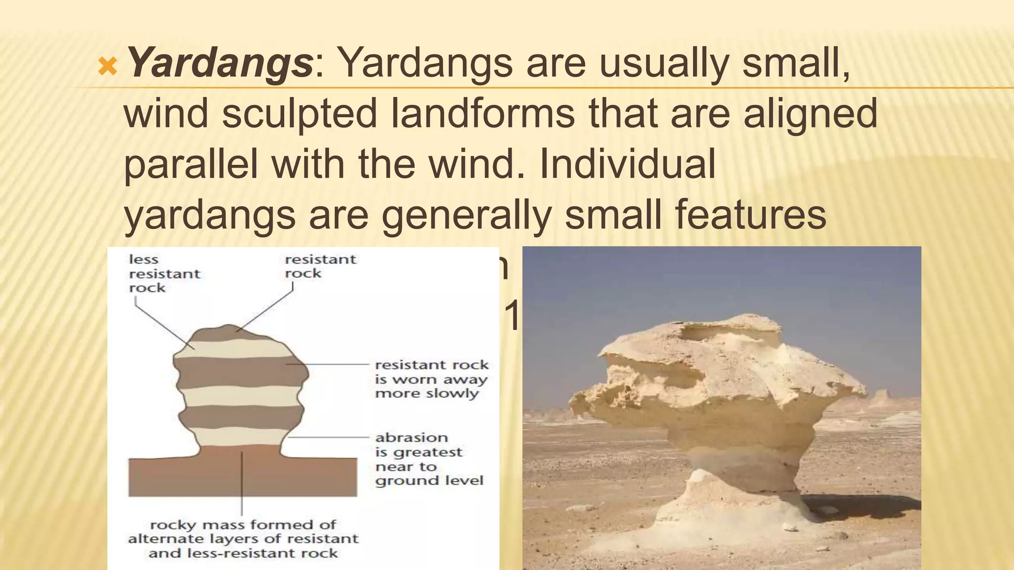  Yardangs:

Yardangs are usually small,
wind sculpted landforms that are aligned
parallel with the wind. Individual
yardangs are generally small features
that stands less than 5 meters high and
no more than about 10 meters.

 