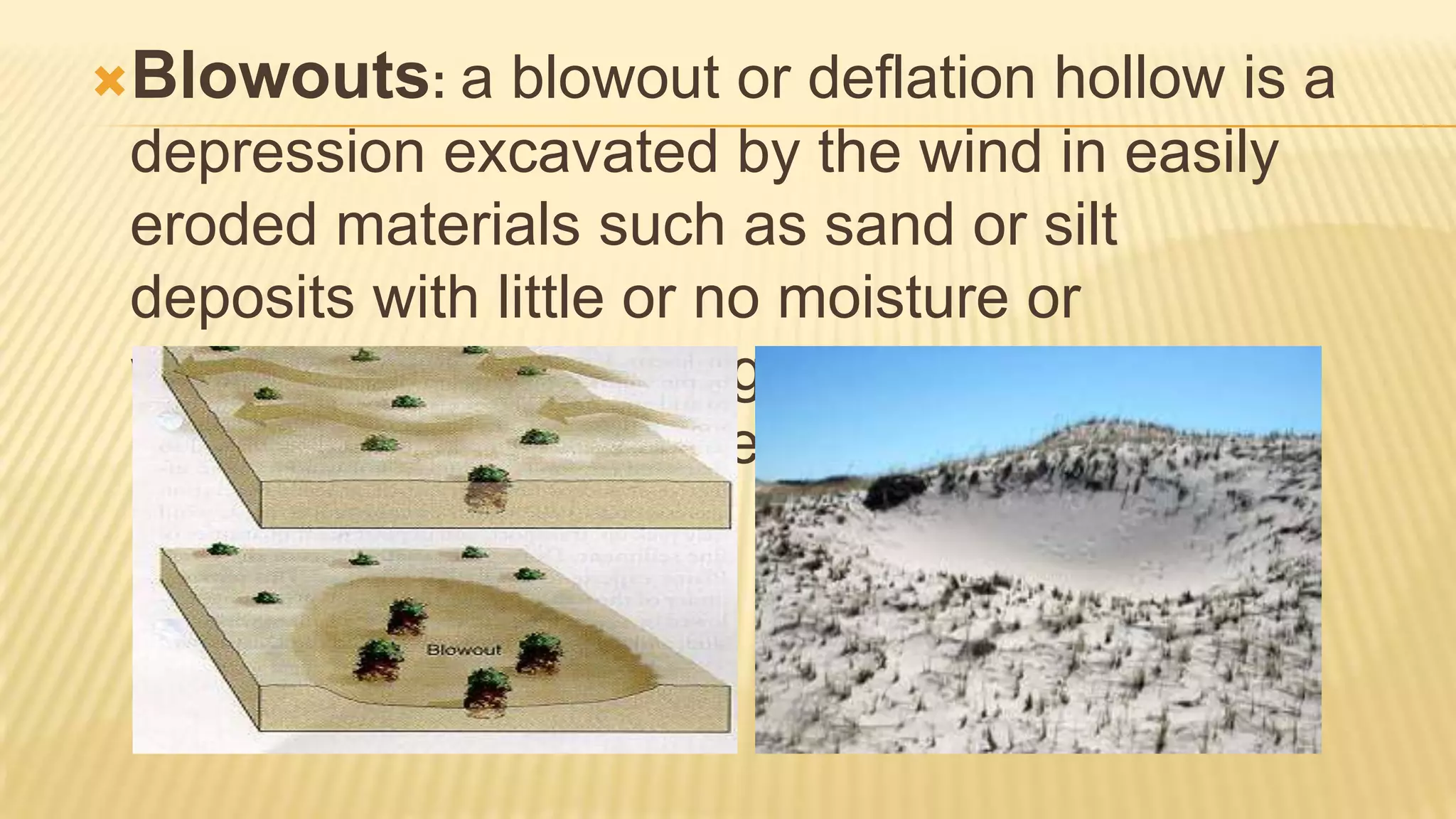 Blowouts: a

blowout or deflation hollow is a
depression excavated by the wind in easily
eroded materials such as sand or silt
deposits with little or no moisture or
vegetation content--vegetation present in
materials at the surface impedes deflation.

 