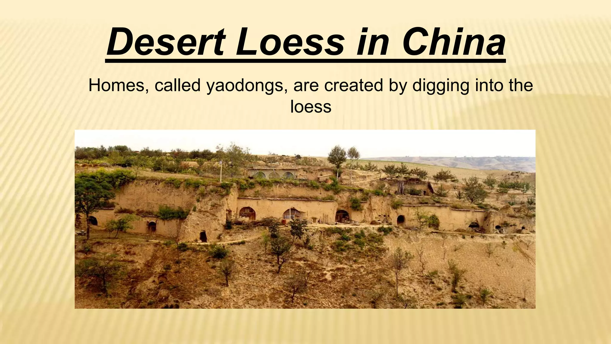Desert Loess in China
Homes, called yaodongs, are created by digging into the
loess
In the dry desert, these structures can last for many
centuries

 