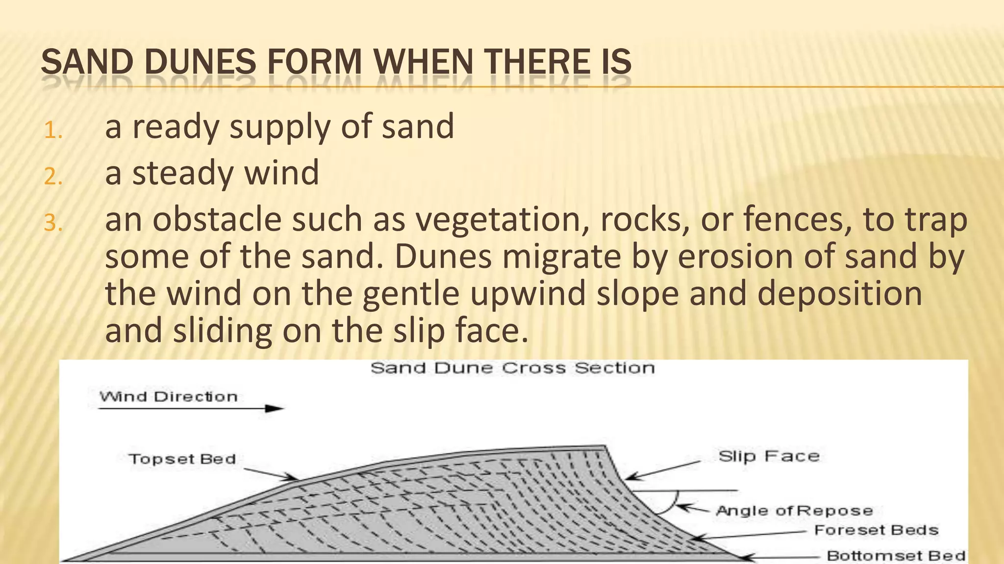 SAND DUNES FORM WHEN THERE IS
1.
2.

3.

a ready supply of sand
a steady wind
an obstacle such as vegetation, rocks, or fences, to trap
some of the sand. Dunes migrate by erosion of sand by
the wind on the gentle upwind slope and deposition
and sliding on the slip face.

 