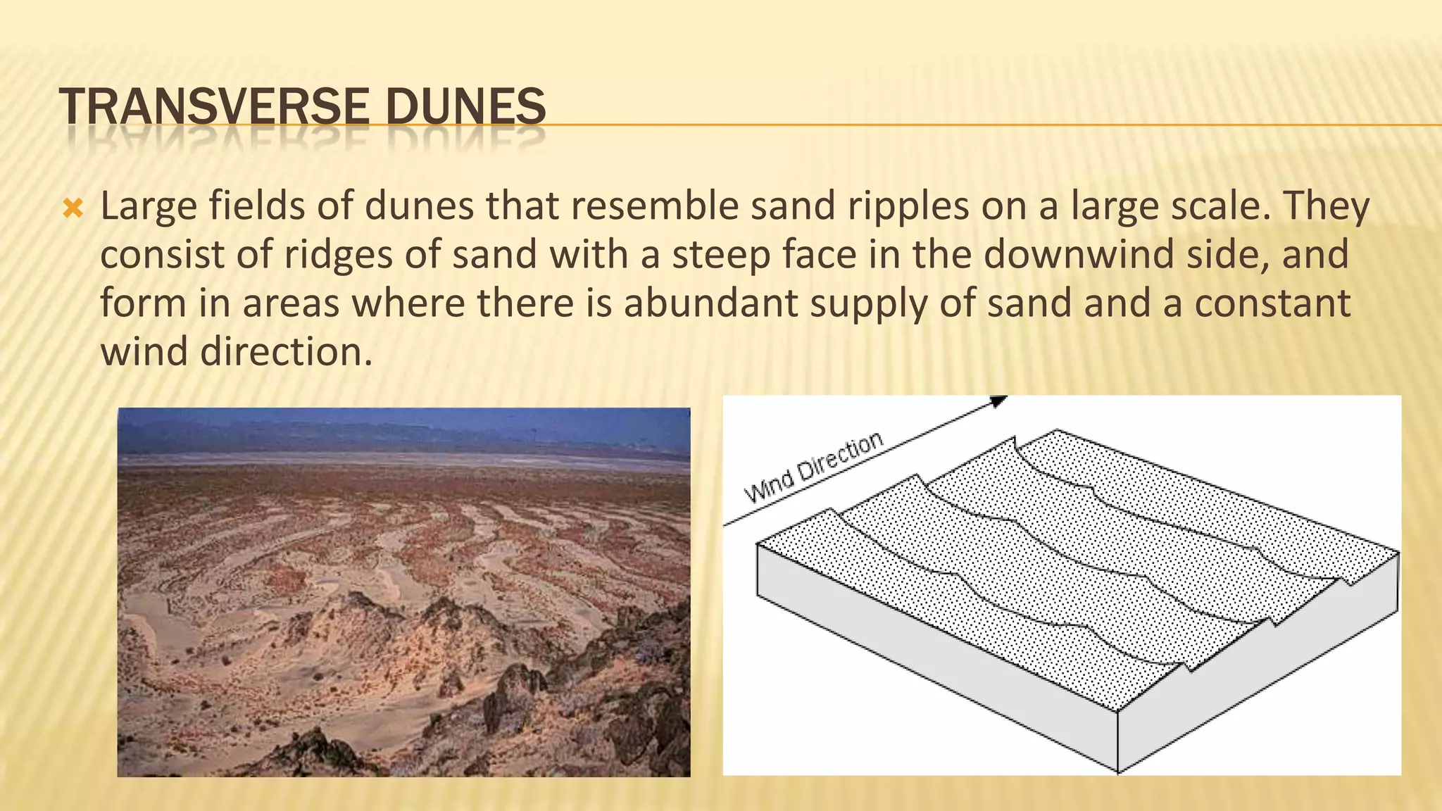 TRANSVERSE DUNES


Large fields of dunes that resemble sand ripples on a large scale. They
consist of ridges of sand with a steep face in the downwind side, and
form in areas where there is abundant supply of sand and a constant
wind direction.

 