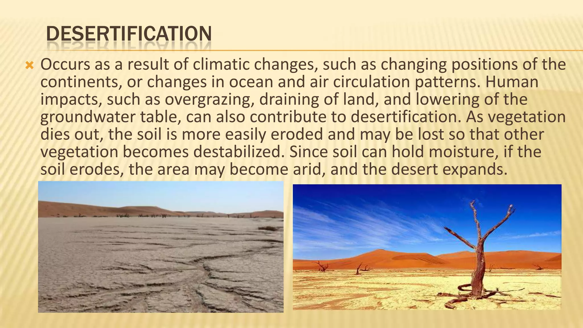 DESERTIFICATION


Occurs as a result of climatic changes, such as changing positions of the
continents, or changes in ocean and air circulation patterns. Human
impacts, such as overgrazing, draining of land, and lowering of the
groundwater table, can also contribute to desertification. As vegetation
dies out, the soil is more easily eroded and may be lost so that other
vegetation becomes destabilized. Since soil can hold moisture, if the
soil erodes, the area may become arid, and the desert expands.

 