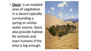 • Oasis: is an isolated
area of vegetation
in a desert typically
surrounding a
spring or similar
water source. Oasis
also provide habitat
for animals and
even humans if the
area is big enough.

 