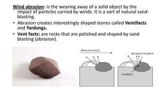 Wind abrasion: is the wearing away of a solid object by the
impact of particles carried by winds. It is a sort of natural sandblasting.
• Abrasion creates interestingly shaped stones called Ventifacts
and Yardangs.
• Vent facts: are rocks that are polished and shaped by sand
blasting (abrasion).

 