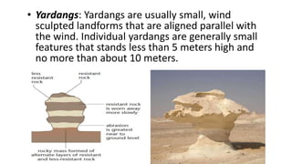 • Yardangs: Yardangs are usually small, wind
sculpted landforms that are aligned parallel with
the wind. Individual yardangs are generally small
features that stands less than 5 meters high and
no more than about 10 meters.

 