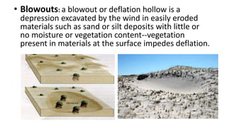 • Blowouts: a blowout or deflation hollow is a

depression excavated by the wind in easily eroded
materials such as sand or silt deposits with little or
no moisture or vegetation content--vegetation
present in materials at the surface impedes deflation.

 