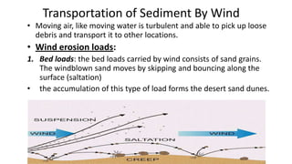 Transportation of Sediment By Wind
• Moving air, like moving water is turbulent and able to pick up loose
debris and transport it to other locations.

• Wind erosion loads:
1. Bed loads: the bed loads carried by wind consists of sand grains.
The windblown sand moves by skipping and bouncing along the
surface (saltation)
• the accumulation of this type of load forms the desert sand dunes.

 