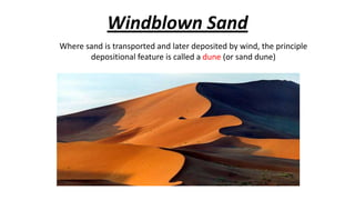 Windblown Sand
Where sand is transported and later deposited by wind, the principle
depositional feature is called a dune (or sand dune)

 