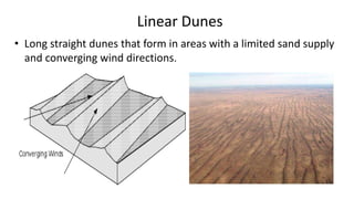 Linear Dunes
• Long straight dunes that form in areas with a limited sand supply
and converging wind directions.

 