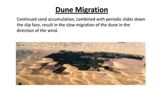 Dune Migration
Continued sand accumulation, combined with periodic slides down
the slip face, result in the slow migration of the dune in the
direction of the wind.

 