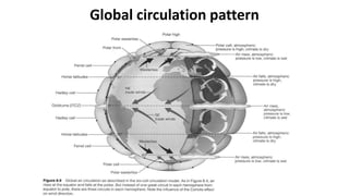 Global circulation pattern

 