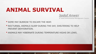 ANIMAL SURVIVAL
• SOME MAY BURROW TO ESCAPE THE HEAT.
• NOCTURNAL ANIMALS SLEEP DURING THE DAY, SHELTERING TO HELP
PREVENT DEHYDRATION.
• ANIMALS MAY HIBERNATE DURING TEMPERATURE HIGHS OR LOWS.
 