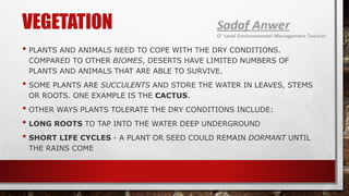 VEGETATION
• PLANTS AND ANIMALS NEED TO COPE WITH THE DRY CONDITIONS.
COMPARED TO OTHER BIOMES, DESERTS HAVE LIMITED NUMBERS OF
PLANTS AND ANIMALS THAT ARE ABLE TO SURVIVE.
• SOME PLANTS ARE SUCCULENTS AND STORE THE WATER IN LEAVES, STEMS
OR ROOTS. ONE EXAMPLE IS THE CACTUS.
• OTHER WAYS PLANTS TOLERATE THE DRY CONDITIONS INCLUDE:
• LONG ROOTS TO TAP INTO THE WATER DEEP UNDERGROUND
• SHORT LIFE CYCLES - A PLANT OR SEED COULD REMAIN DORMANT UNTIL
THE RAINS COME
 
