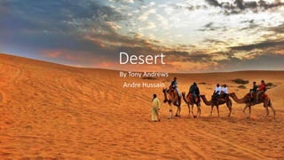 Desert
By Tony Andrews
Andre Hussain
 