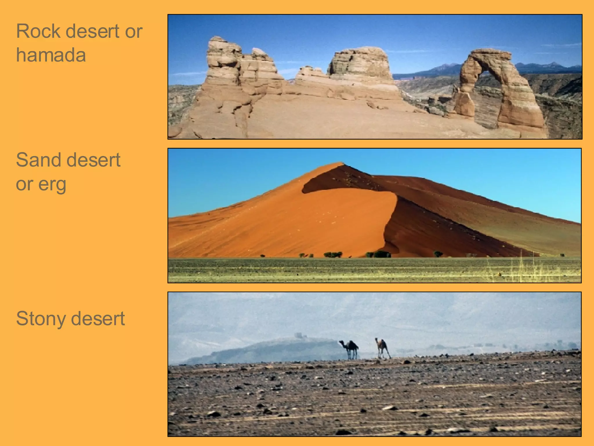 Rock desert or hamada Sand desert or erg Stony desert 
