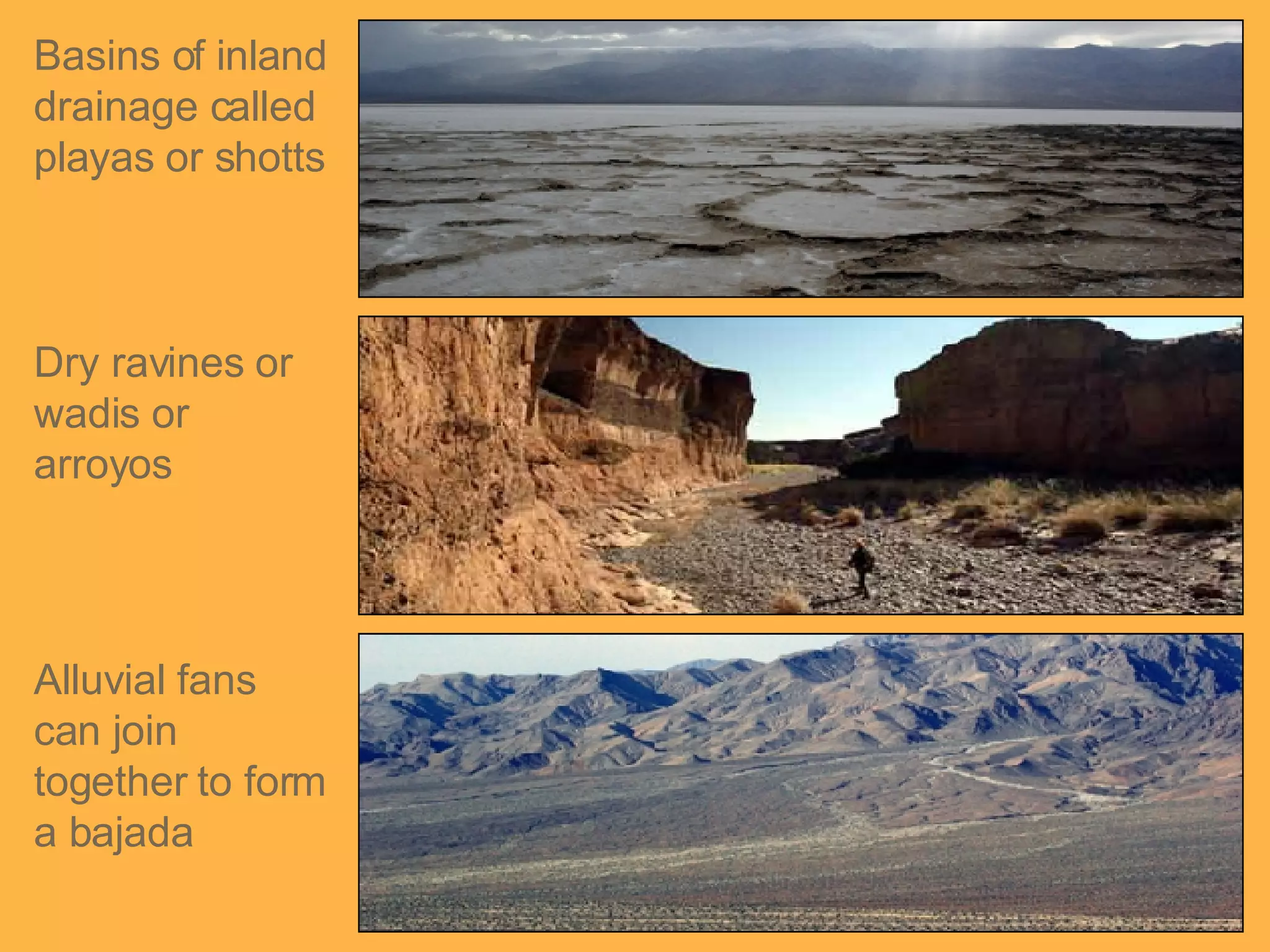 Basins of inland drainage called playas or shotts Dry ravines or wadis or arroyos Alluvial fans can join together to form a bajada 