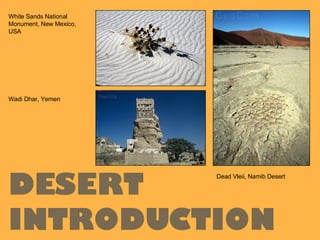 White Sands National Monument, New Mexico, USA Wadi Dhar, Yemen Dead Vleii, Namib Desert DESERT INTRODUCTION 
