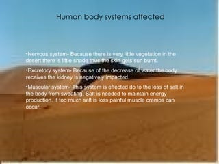 Human body systems affected Nervous system- Because there is very little vegetation in the desert there is little shade thus the skin gets sun burnt. Excretory system- Because of the decrease of water the body receives the kidney is negatively impacted. Muscular system- This system is effected do to the loss of salt in the body from sweating. Salt is needed to maintain energy production. If too much salt is loss painful muscle cramps can occur. 