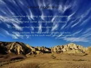 What to wear Survival suggestions Wear loose fitting long  sleeves and pants providing  good air  circulation and  better  protection than sunblock.  Sunglasses that exclude ultra-violet light Some cactuses, like the barrel or compass (a cactus that always leans to the south west) have water inside of them. 