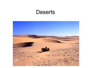 Deserts
 