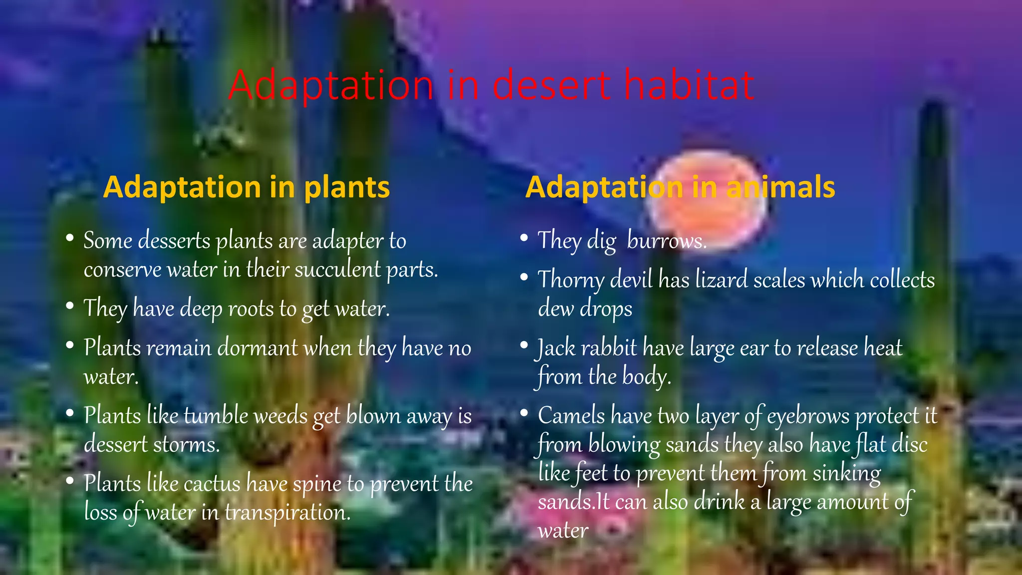 Desert And Mountain Habitats.pptx