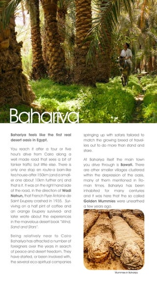 Bahariya
Bahariya feels like the first real          springing up with safaris tailored to
desert oasis in Egypt.                      match the growing breed of travel-
                                            lers out to do more than stand and
You reach it after a four or five           stare.
hour’s drive from Cairo along a
well made road that sees a bit of           At Bahariya itself the main town
tanker traffic but little else. There is    you drive through is Bawati. There
only one stop en route-a barn-like          are other smaller villages clustered
tea house-after 150km (and a small-         within the depression of the oasis,
er one about 10km further on) and           many of them mentioned in Ro-
that is it. It was on the right hand side   man times. Bahariya has been
of the road, in the direction of Wadi       inhabited for many centuries
Natrun, that French Flyer Antoine de        and it was here that the so called
Saint Exupery crashed in 1935. Sur-         Golden Mummies were unearthed
viving on a half pint of coffee and         a few years ago.
an orange Exupery survived- and
later wrote about the experiences
in the marvelous desert book ‘‘Wind,
Sand and Stars’’.

Being relatively near to Cairo
Bahariya has attracted a number of
foreigners over the years in search
of peace and desert freedom. They
have started, or been involved with,
the several eco-spiritual companies

                                                               Mummies in Bahariya
 