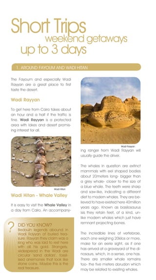 Short Tripsgetaways
    weekend
      up to 3 days
    1. AROUnD FAYOUM AnD WADI HITAn

The Fayoum and especially Wadi
Rayyan are a great place to first
taste the desert.

Wadi Rayyan

To get here from Cairo takes about
an hour and a half if the traffic is
fine. Wadi Rayyan is a protected
area with lakes and desert promis-
ing interest for all.



                                                                  Wadi Rayyan
                                          ing ranger from Wadi Rayyan will
                                          usually guide the driver.

                                          The whales in question are extinct
                                          mammals with eel shaped bodies
                                          about 20meters long- bigger than
                                          a grey whale- closer to the size of
                                          a blue whale. The teeth were sharp
                            Wadi Hitan
                                          and saw-like, indicating a different
Wadi Hitan - Whale Valley                 diet to modern whales. They are be-
                                          lieved to have existed here 40million
It is easy to visit the Whale Valley in
                                          years ago. Known as basilosaurus
a day from Cairo. An accompany-
                                          isis they retain feet, of a kind, un-
                                          like modern whales which just have


?
                                          remnant projecting bones.
    DID YOU KnOW?
    Bedouin legends abound in
    Wadi Rayyan of buried trea-           The incredible lines of vertebrae,
    sure. Rayyan they claim was a         each one weighing 20kilos or more,
    king who was laid to rest here        make for an eerie sight, as if one
    with all his gold. Strangely,
                                          has arrived at a graveyard of the di-
    widespread in the Wadi are
    circular ‘sand dollars’, fossil-      nosaurs, which, in a sense, one has.
    ised anemones that look like          There are smaller whale remains
    stone coins. Maybe this is the        too- the five meters dorudon which
    real treasure.                        may be related to existing whales.
 