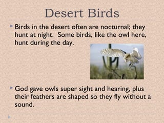 Desert Birds
 Birds

in the desert often are nocturnal; they
hunt at night. Some birds, like the owl here,
hunt during the day.

 God

gave owls super sight and hearing, plus
their feathers are shaped so they fly without a
sound.

 
