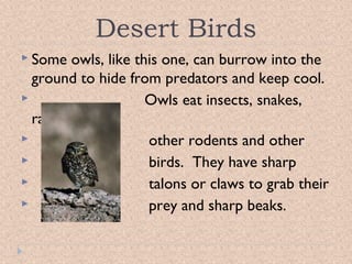 Desert Birds
 Some

owls, like this one, can burrow into the
ground to hide from predators and keep cool.

Owls eat insects, snakes,
rats,

other rodents and other

birds. They have sharp

talons or claws to grab their

prey and sharp beaks.

 