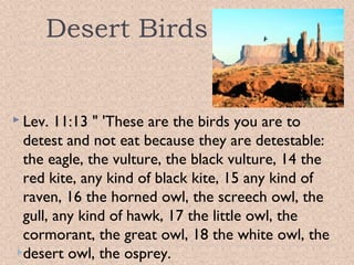 Desert Birds

 Lev.

11:13 " 'These are the birds you are to
detest and not eat because they are detestable:
the eagle, the vulture, the black vulture, 14 the
red kite, any kind of black kite, 15 any kind of
raven, 16 the horned owl, the screech owl, the
gull, any kind of hawk, 17 the little owl, the
cormorant, the great owl, 18 the white owl, the
desert owl, the osprey.

 
